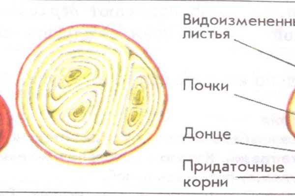 Магазин кракен даркнет сайт