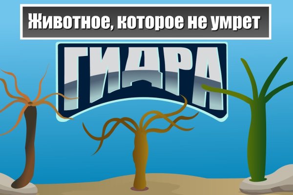 Украли аккаунт на кракене что делать